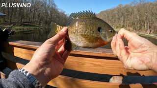 Setting up PLUSINNO Telescopic Fishing Rod and Reel Combo and Catching Fish [upl. by Padraig]