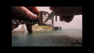 Changer un verre de montre Festina par Doc watch [upl. by Wiseman]