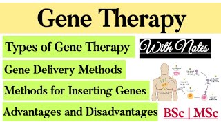 Gene Therapy Types Somatic amp Germline Methods of inserting gene Ex vivo amp In Vivo Gene Transfer [upl. by Bamberger]