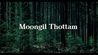 Moongil Thottam Lyric English Translation  Abhay Jodhpurkar Harini  AR Rahman  Kadal [upl. by Dlorag]