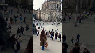 dresden shortvideo travel discovergermany amazing oldtown historical [upl. by Zelda]