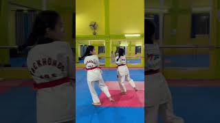 Poomsae 3  3th part poomsae taekwondo [upl. by Orren218]