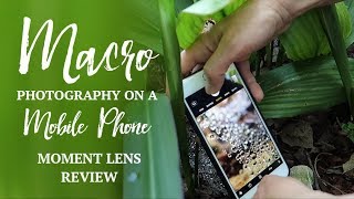 Mobile Phone MACRO Photography  Moment Macro Lens Review [upl. by Pogue267]