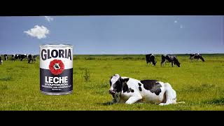 Leche Evaporada Gloria está hecha con Leche pura de vaca [upl. by Justinian]