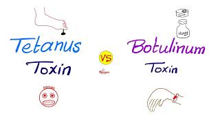 Tetanus Toxin vs Botulinum Toxin  Comparisons Series [upl. by Suzette]