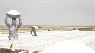 This is how we get salt Gujarat [upl. by Corron]