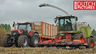 Claas Jaguar 950 Shredlage  Case Optum 270  Mais hakselen  Maisernte  Maize harvest  2018 [upl. by Arraet]