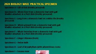 2024 BIOLOGY WAEC PRACTICAL SPECIMEN A GUIDE AND WHAT YOU NEED TO PASS [upl. by Walt]