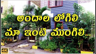 అందాల లోగిలి మా ఇంటి ముంగిలి Beautiful Garden in front of my Sweet Home TTH The Telugu Housewife [upl. by Arevle659]