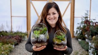 How to Make A Terrarium Full Version  Garden Answer [upl. by Ambrose]