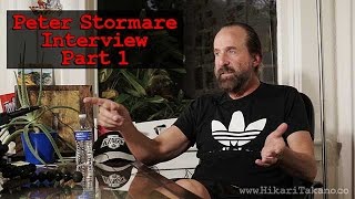 Peter Stormare Interview Part1 on wwwHikariTakanoco [upl. by Erfert]