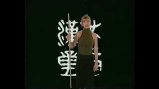 Cynthia Rothrock  Martial Combat  The Staff [upl. by Wojak]