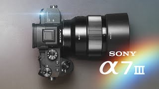 Sony A7III Review Should You Buy The Sony A7III in 2023 [upl. by Cicenia]