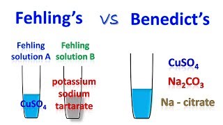 Difference between fehling and benedict test [upl. by Ihteerp]