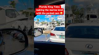 Florida King Tide is Wild boat ocean boating [upl. by Anah]