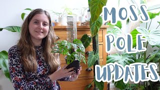 ✨Philodendron Splendid Moss Pole Extension ✨ Plus New Moss Pole Design Updates 😊 [upl. by Nnyluqcaj10]