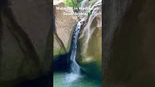 Picnic spot in Jizan Saudi Arabia Wadi Lajab 😍😍 [upl. by Jessica494]