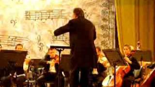 Ludwig van Beethovens Symphony No 2 in D major Op 36 mvt 4 [upl. by Aissyla]