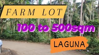 FARM LOT FOR SALE PWEDE SMALL CUT [upl. by Notluf]