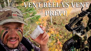 Chasse au chevreuil  Vent réel vs vent prévu [upl. by Aihgn]