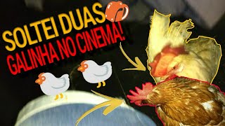 SOLTEI DUAS GALINHAS NO CINEMA🐓🐓🎞️DEU MERDA leandrofuxicandoMEsigam [upl. by O'Driscoll]