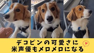 【大谷翔平】デコピンの可愛さに米声優もメロメロになる【ドジャース】 [upl. by Leonsis82]