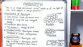 quotParenchymaquot ChlorenchymaAerenchyma Class IX and XI [upl. by Alhan]