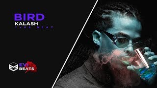 Kalash Type Beat 2018 quotBirdquot  RapTrap Instrumental  Evi Beats [upl. by Nadaha929]