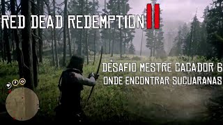 Red Dead Redemption 2  Desafio Mestre Caçador 6  Onde Encontrar Suçuaranas [upl. by Camile]