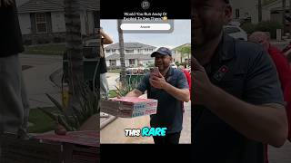 Delivery Man Shocked To See The Homeowner😳🤣 funny viral shorts [upl. by Bethany632]