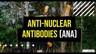 ANA Test Results Interpreting Your AntiNuclear Antibody Levels [upl. by Gwenn]