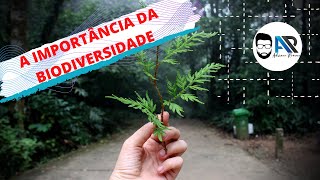 Importância da Biodiversidade  Para que serve a biodiversidade [upl. by Rey]