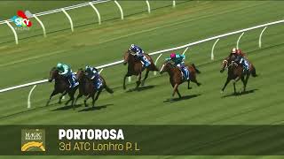 Lot 516  Portorosa  Magic Millions National Broodmare Sale [upl. by Asset]