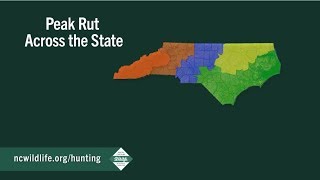 Peak of the Rut Across North Carolina [upl. by Aramois774]