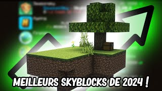 Les MEILLEURS SERVEURS SKYBLOCKS de 2024 [upl. by Guillermo126]