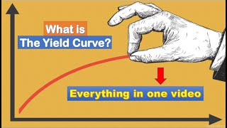 ALL Info IN 1 Video Yield Curve  Types  How it works  Influencing Factors  Importance [upl. by Nerin535]