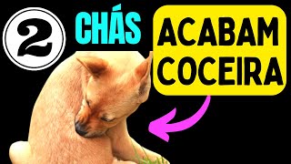 2 chás ACABAM COCEIRAS EM CÃES  Coceira alergia em cachorro [upl. by Jacklyn860]