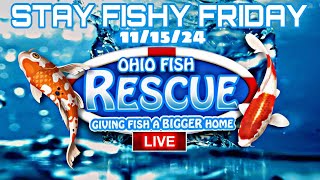 Stay Fishy Friday livestream 111524 [upl. by Gotthelf]