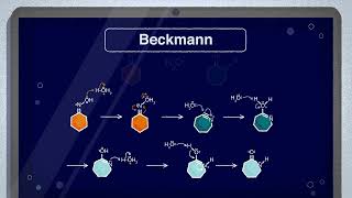 Beckmann Rearrangement Reaction  Named Reactions in Organic Chemistry [upl. by Long]