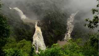 Ricky Kej  Jaya Hai Kannada Thaye  GRAMMY® WINNER  Karnataka WildLife and Nature Video [upl. by Sirrot537]