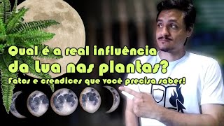 A influência da Lua nas plantas corte de cabelo pedras naturais ASTROLOGIA [upl. by Louls303]