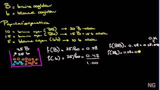151  De wet van HardyWeinberg [upl. by Kape]