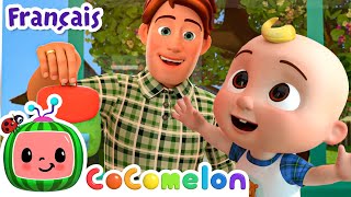 La rentrée des classes  Épisode Complet  CoComelon en Français  Chansons pour bébés [upl. by Brunhilda]