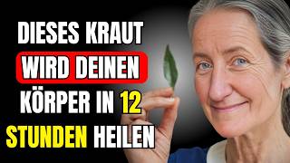 Dieses Kraut Wird Jede Krankheit Für Immer Verschwinden Lassen  Dr Barbara Oneill [upl. by Ayian]