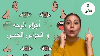 تعلم اجزاء الوجه و الحواس الخمسة للاطفال باللغة العربية Learn Face Parts amp 5 Senses in Arabic [upl. by Chic]