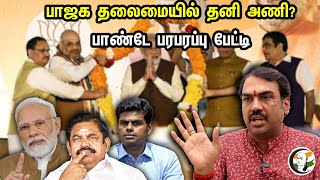 பாஜக தலைமையில் தனி அணி பாண்டே பரபரப்பு பேட்டி  Rangaraj Pandey About AdmkBjp Allaince  Admk [upl. by Aynosal805]