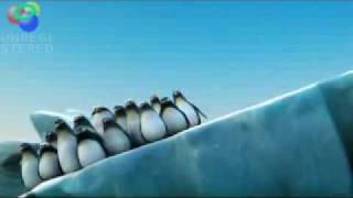 Pinguine auf einer Eisscholle  halten zusammen [upl. by Uzziel]