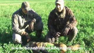 Eastern Coyote Hunting in New York Gauglers 47 pounder [upl. by Maryl421]