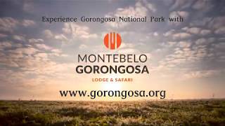 Montebelo Gorongosa Promo [upl. by Orpah]