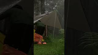 solo camping in heavy rain  relaxing rain sounds shorts solocamping [upl. by David692]